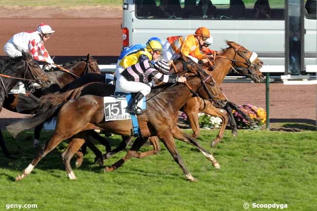 02/12/2009 - Marseille-Borély - Prix Louis Brunet : Arrivée