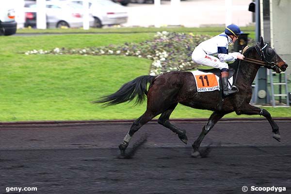 17/01/2011 - Vincennes - Prix de Castera-Verduzan : Arrivée