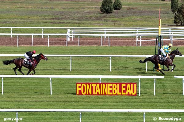 26/09/2011 - Fontainebleau - Prix www.courseschevaux.fr : Arrivée