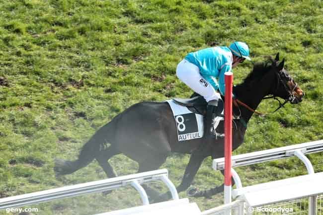 03/03/2013 - Auteuil - Prix Jean Doumen : Result