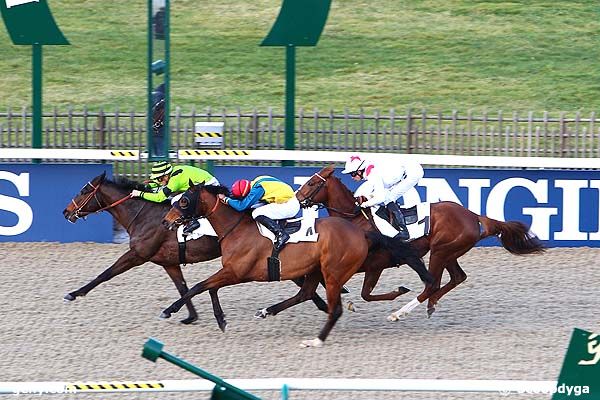 30/01/2015 - Chantilly - Prix du Chemin du Bac : Ankunft