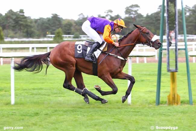 24/09/2015 - Fontainebleau - Prix Pierre Debroise : Ankunft