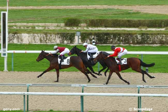 30/11/2015 - Deauville - Prix de la Rivière Morte : Arrivée