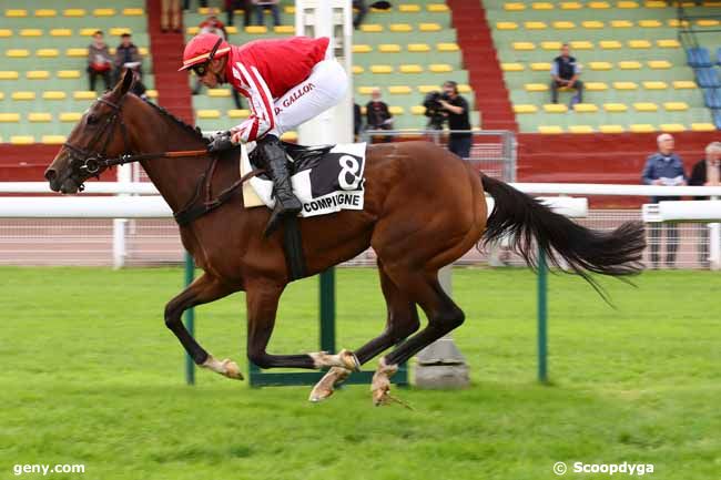 01/10/2019 - Compiègne - Prix Bûcheur : Ankunft