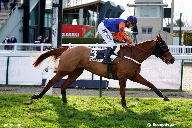 03/01/2022 - Pau - Prix Bernard de Dufau : Arrivée