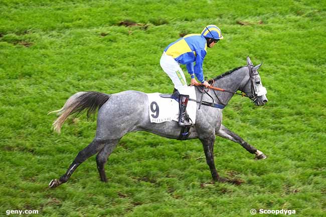 04/11/2022 - Auteuil - Prix Léopold Bara : Arrivée