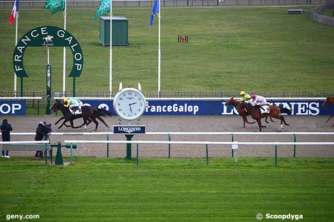 06/12/2022 - Chantilly - Prix de la Piste Sea Bird : Arrivée