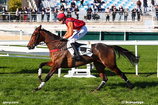 12/12/2022 - Cagnes-sur-Mer - Prix du Mont Falourde : Arrivée