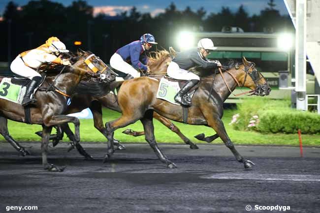 01/09/2023 - Vincennes - Prix Amalia : Arrivée