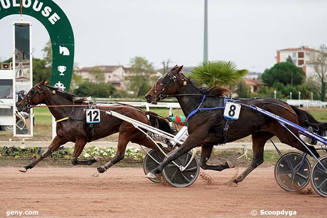 25/10/2023 - Toulouse - Prix Hippodrome de Beaumont-de-Lomagne : Arrivée