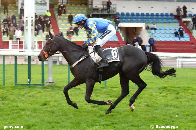 10/11/2023 - Compiègne - Grand Steeple-Chase - Cross-Country de Compiègne : Arrivée