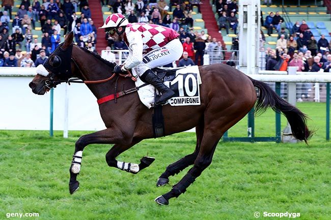 11/11/2024 - Compiègne - Prix Aston Blount : Arrivée