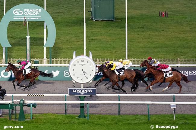 10/12/2024 - Chantilly - Prix de Fergand : Arrivée