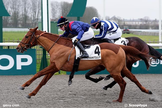 11/01/2025 - Chantilly - Prix du Marais du Lys : Ankunft