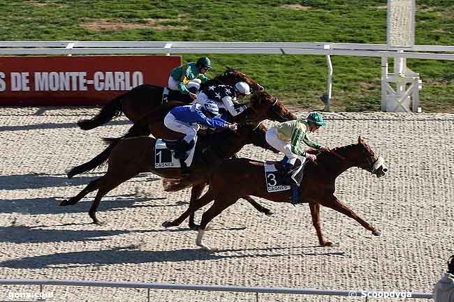 28/01/2009 - Cagnes-sur-Mer - Prix de la Crau : Arrivée