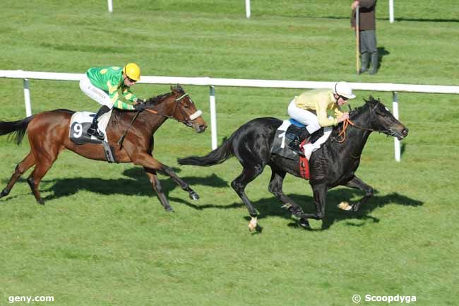 26/10/2011 - Fontainebleau - Prix des Sycomores : Ankunft