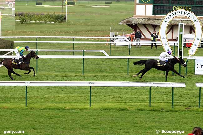 16/11/2012 - Compiègne - Prix Choute : Arrivée