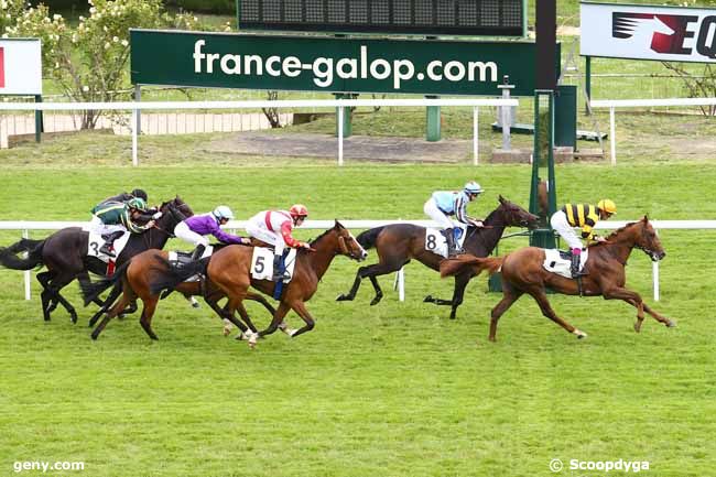 23/05/2014 - Saint-Cloud - Prix Callistrate : Ankunft