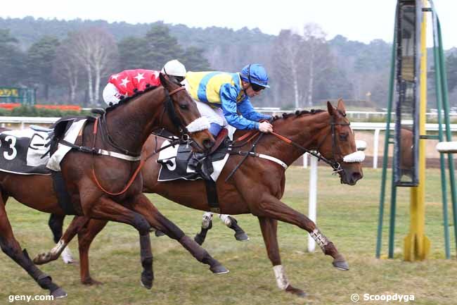 10/03/2015 - Fontainebleau - Prix Colonel Jean de Royer : Arrivée