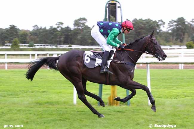 24/09/2015 - Fontainebleau - Prix de Saint-Fargeau Ponthierry : Arrivée