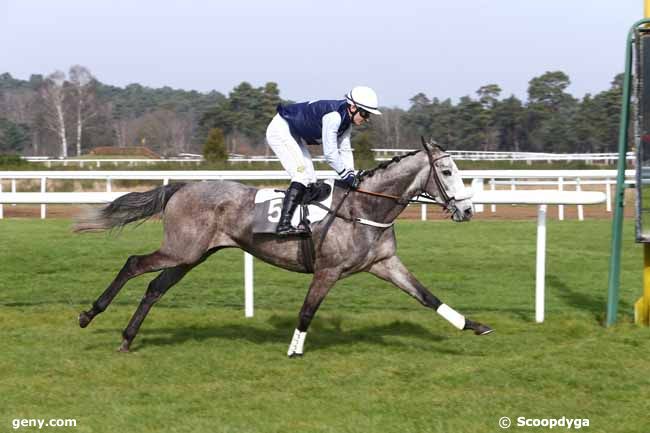 27/02/2016 - Fontainebleau - Prix de la Société des Courses de Pau : Result