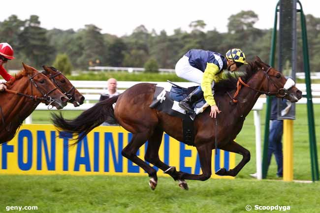 20/09/2016 - Fontainebleau - Prix des Chevreuils : Arrivée