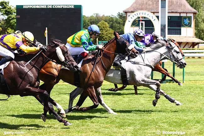 09/07/2019 - Compiègne - Prix des Etangs de Saint-Pierre : Arrivée