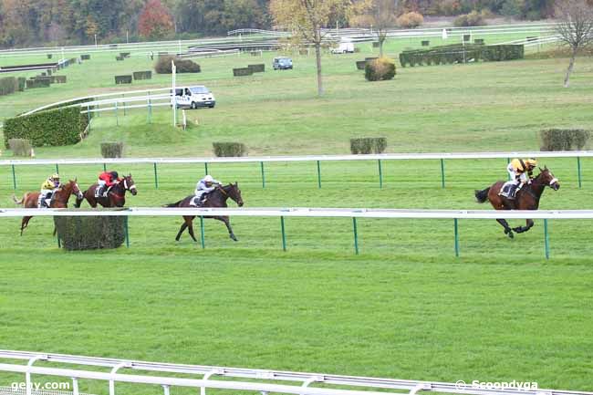 11/11/2020 - Compiègne - Steeple-Chase National des Anglo-Arabes : Result