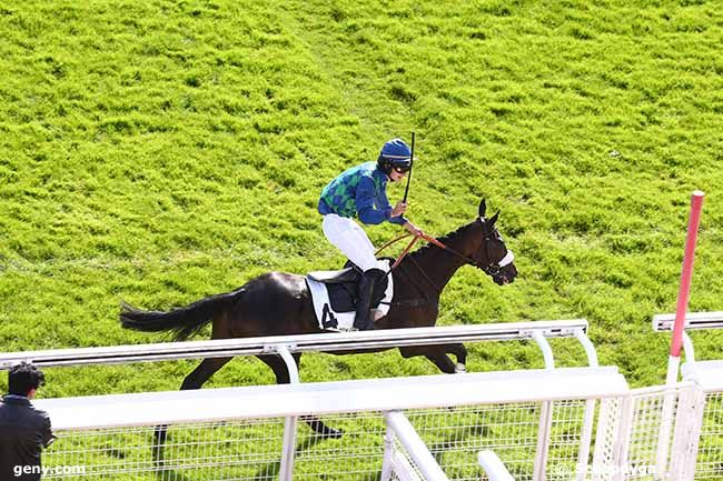 06/10/2021 - Auteuil - Prix Falzarego : Ankunft