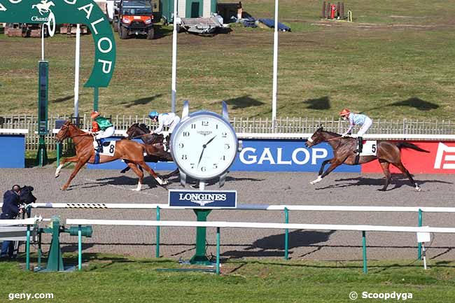 07/02/2022 - Chantilly - Prix du Rond Point des Aigles : Arrivée