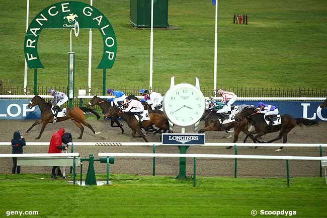 15/11/2022 - Chantilly - Prix de la Salle des Gardes : Arrivée