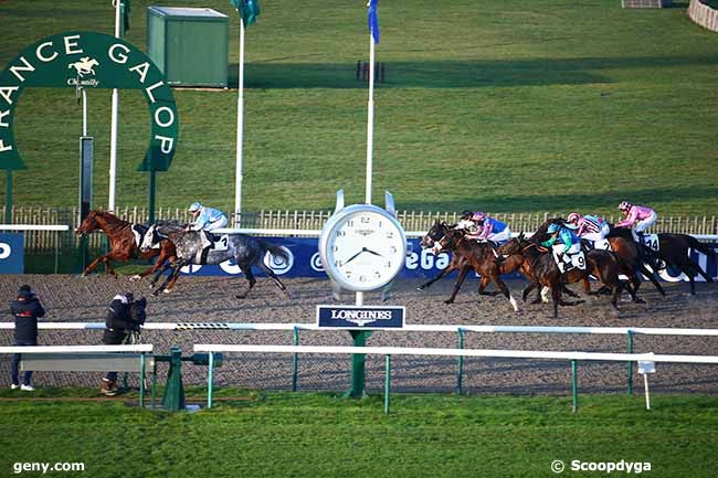 06/12/2022 - Chantilly - Prix de la Pelouse aux Yearlings : Arrivée