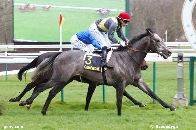 12/03/2023 - Compiègne - Prix des Etangs de Pierrefonds : Arrivée