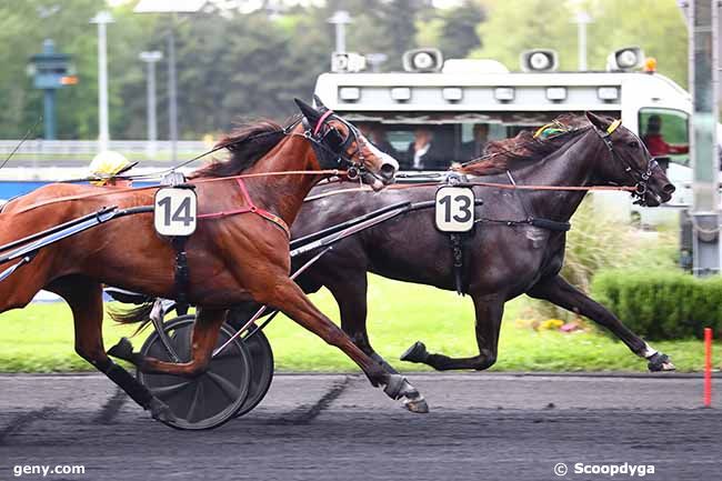 12/05/2023 - Vincennes - Prix Masina : Arrivée