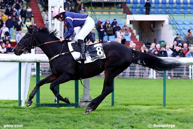 11/11/2024 - Compiègne - Prix Chakhansoor : Arrivée