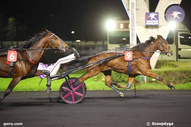 29/11/2024 - Vincennes - Prix Arsinoë : Arrivée