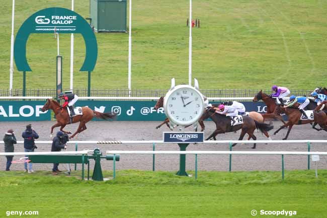 10/12/2024 - Chantilly - Prix de la Piste des Lions : Arrivée