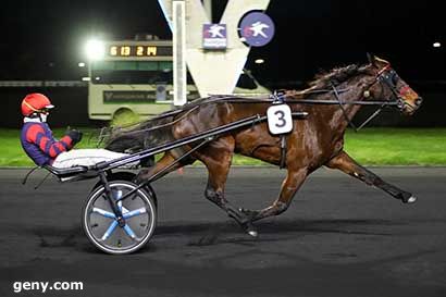 03/01/2025 - Vincennes - Prix de Limeil : Ankunft