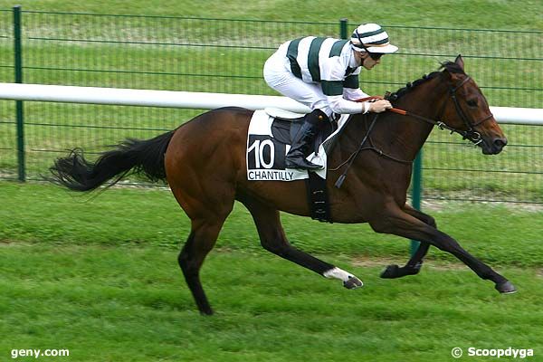 05/06/2008 - Chantilly - Prix de la Reine Blanche : Arrivée