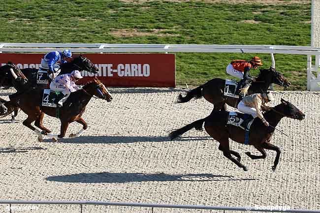 28/01/2009 - Cagnes-sur-Mer - Prix des Camélias : Arrivée