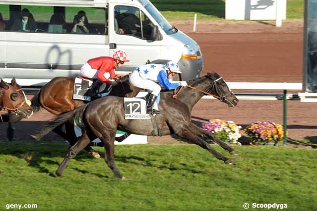 02/12/2009 - Marseille-Borély - Prix du Comité Régional du Sud-Est : Ankunft