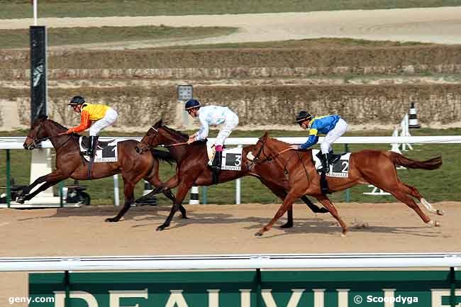 18/03/2010 - Deauville - Prix Carteret : Arrivée