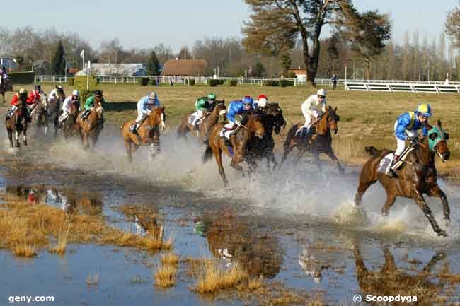 21/12/2010 - Pau - Prix de l'Etrier Agenais : Ankunft