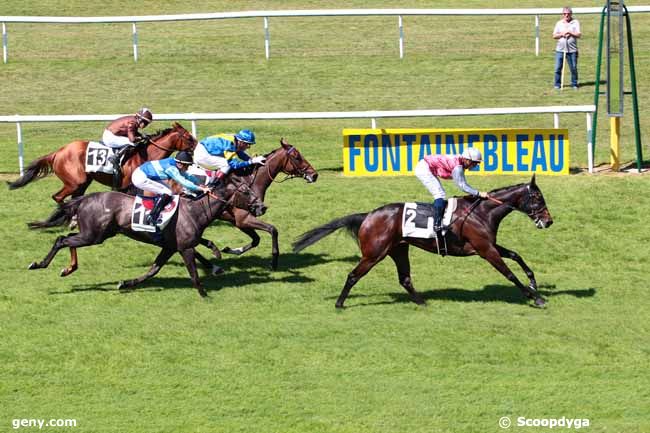 01/06/2017 - Fontainebleau - Prix des Vernes : Ankunft