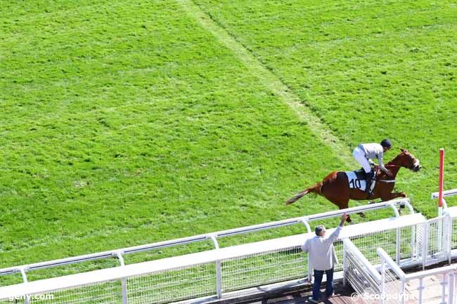 11/09/2019 - Auteuil - Prix Finot (Pouliches) : Result