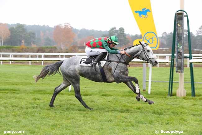 06/12/2022 - Fontainebleau - Prix des Lièvres : Arrivée