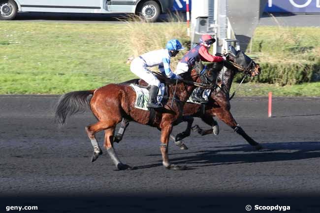 06/02/2023 - Vincennes - Prix de l'Ille-et-Vilaine : Arrivée