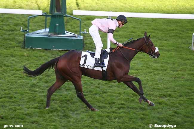 17/11/2023 - Saint-Cloud - Prix de Bazemont : Arrivée