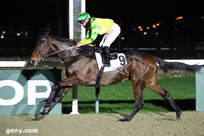 29/12/2023 - Deauville - Prix de la Cour du Bosc : Arrivée