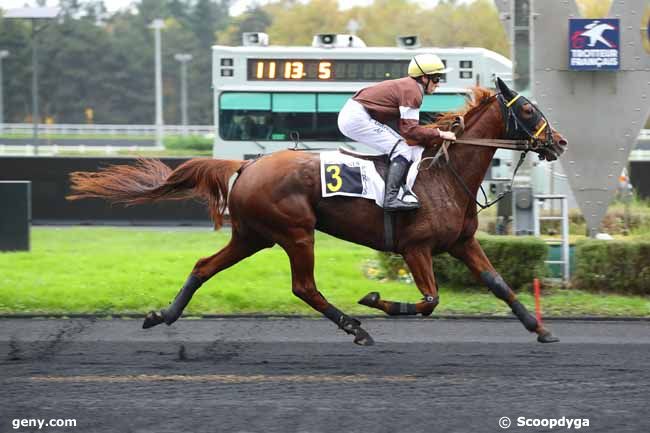 12/11/2024 - Vincennes - Prix de la Clayette : Arrivée